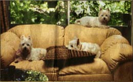 (c) K&ouml;lner Express, Fotograph anonym